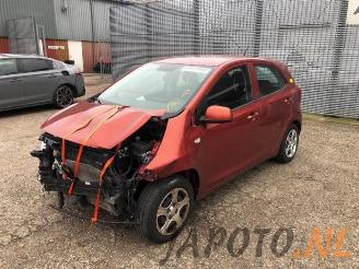 Salvage car Kia Picanto Picanto (JA), Hatchback, 2017 1.0 12V 2019/8