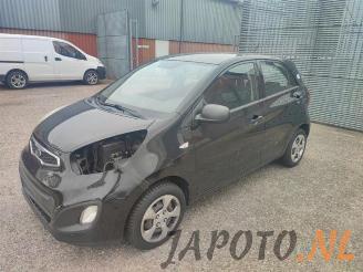 Dezmembrări autoturisme Kia Picanto Picanto (TA), Hatchback, 2011 / 2017 1.0 12V 2011/6
