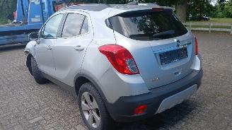 Opel Mokka Mokka/Mokka X SUV 1.6 16V EcoFlex 4x2 (B16XER(Euro 6)) [85kW]  (06-201=
2/12-2019) picture 10