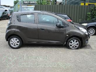 Chevrolet Spark Spark (M300) Hatchback 1.0 16V Bifuel (LMT) [48kW]  (07-2010/12-2015) picture 7