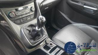 Ford C-Max C-Max (DXA), MPV, 2010 / 2019 1.5 Ti-VCT EcoBoost 150 16V picture 18