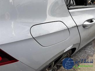 Volkswagen Golf Golf VIII (CD1), Hatchback, 2019 2.0 GTI 16V picture 23