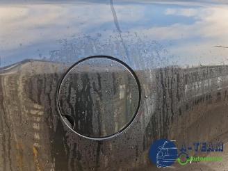 Renault Mégane Megane III Coupe (DZ), Hatchback 3-drs, 2008 / 2016 1.4 16V TCe 130 picture 30