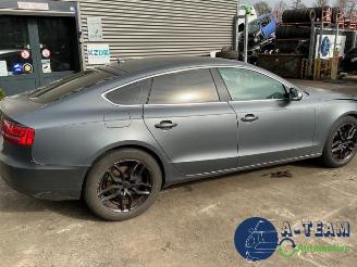 Audi 50 A5 Sportback (8TA), Liftback, 2009 / 2017 2.0 TDI 16V picture 13