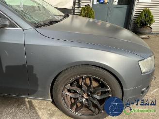 Audi 50 A5 Sportback (8TA), Liftback, 2009 / 2017 2.0 TDI 16V picture 25