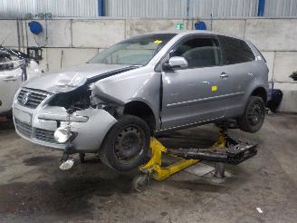 Volkswagen Polo Polo IV (9N1/2/3) Hatchback 1.4 16V (BUD) [59kW]  (05-2006/11-2009) picture 1