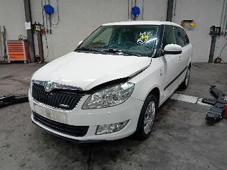 disassembly passenger cars Skoda Fabia Fabia II Combi Combi 5-drs 1.2 TDI 12V Greenline (CFWA) [55kW]  (05-20=
10/12-2014) 2012