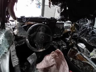 Lexus RX RX (LA1/LH1) SUV 450h+ E-Four (A25B-FXS) [227kW]  (12-2022/...) picture 5