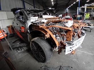 Lexus RX RX (LA1/LH1) SUV 450h+ E-Four (A25B-FXS) [227kW]  (12-2022/...) picture 2