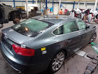 Audi A5 A5 Sportback (8TA) Liftback 1.8 TFSI 16V (CJEB(Euro 5; Euro 6)) [125kW=
]  (08-2011/01-2017) picture 3