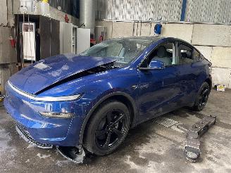Démontage voiture Tesla  Model Y SUV RWD 58 kWh, Long Range RWD 75 kWh (4D3) [220kW]  (01-2025/=
=2E..) 2025/6