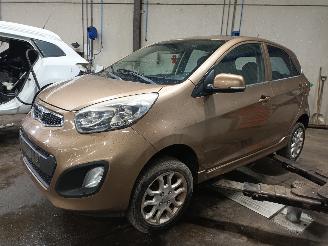 Sloopauto Kia Picanto Picanto (TA) Hatchback 1.0 12V (G3LA) [51kW]  (05-2011/06-2017) 2011/12