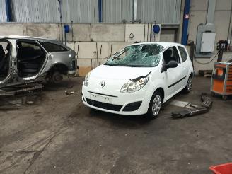 disassembly passenger cars Renault Twingo Twingo II (CN) Hatchback 3-drs 1.2 (D7F-800(Euro 4)) [43kW]  (03-2007/=
09-2014) 2009/7