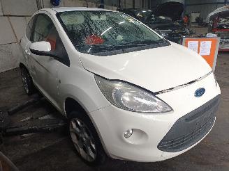 Ford Ka Ka II Hatchback 1.2 (169.A.4000(Euro 4; Euro 5)) [51kW]  (10-2008/05-2=
016) picture 2