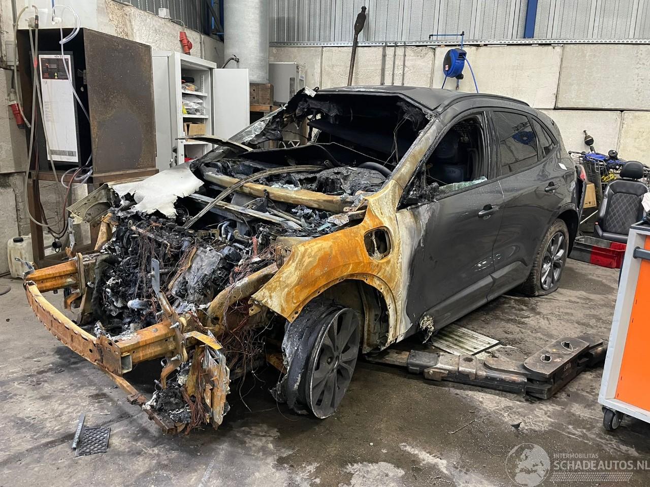 Ford Kuga Kuga III (DFK) SUV 2.5 PHEV 16V (BGDA) [165kW]  (07-2019/...)