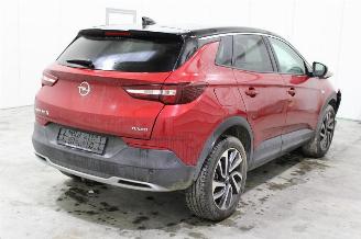 Opel Grandland X picture 3