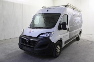 Auto da rottamare Opel Movano  2022/7