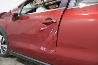 Suzuki SX4 S-Cross picture 8