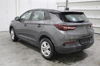 Opel Grandland (X) picture 4
