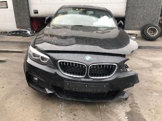 Sloopauto BMW 2-serie 2000cc - 140kw - bmw 2reeks - f22 2018/1