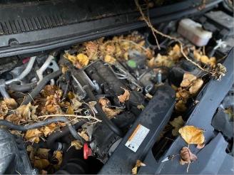 Ssang yong Rodius Rodius, MPV, 2005 2.2 SV 220 e-XDi 16V 4WD picture 8