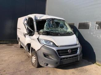 Purkuautot passenger cars Fiat Ducato  2017/4