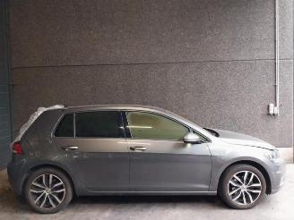 Volkswagen Golf Golf VII (AUA), Hatchback, 2012 / 2021 1.6 TDI BMT 16V picture 7