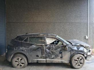 Peugeot 2008 2008 (UD/UK/UR/US/UX), MPV, 2019 1.2 VTi 12V PureTech 130 picture 10