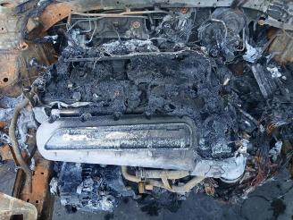 Audi Rs3 RS 3 Sportback (8YA), Hatchback 5-drs, 2021 2.5 TFSI 20V Quattro picture 6