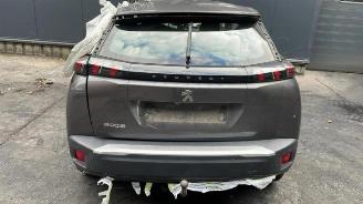 Peugeot 2008 2008 (UD/UK/UR/US/UX), MPV, 2019 1.5 BlueHDi 110 picture 5