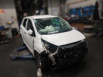 Autoverwertung Kia Picanto Picanto (JA), Hatchback, 2017 1.2 CVVT 16V 2019/8
