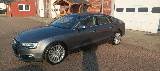 škoda osobní automobily Audi A5 Sportback 2.0-TDI Automatik Navi Xenon Led-Achterlichten Stoelverwarming Climatecontrol CruiseControl trekhaak 18-inch Audi velgen 2016/2