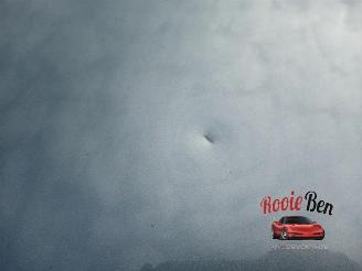 Dodge Journey Journey, MPV, 2008 / 2020 2.4 16V picture 21