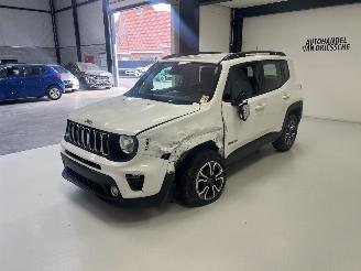Jeep Renegade  picture 7