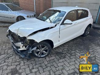  BMW 1-serie F20 114i N13 2012/1