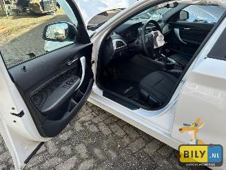 BMW 1-serie F20 114i N13 picture 11