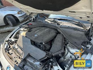 BMW 3-serie F31 320D N47 Alpineweiss 3 picture 9