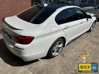 BMW  F10 518D Alpinewiess 3 picture 3