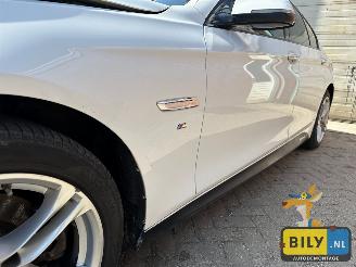 BMW  F10 518D Alpinewiess 3 picture 6