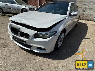 disassembly passenger cars BMW  F10 518D Alpinewiess 3 2014/1