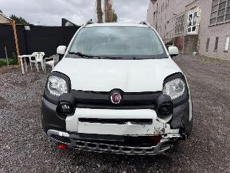 Fiat Panda CROSS picture 3