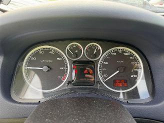 Peugeot 307  picture 25