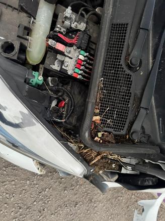 Renault Zoé  picture 18