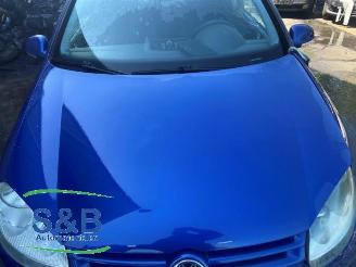 Volkswagen Golf Golf V (1K1), Hatchback, 2003 / 2010 1.6 FSI 16V picture 14